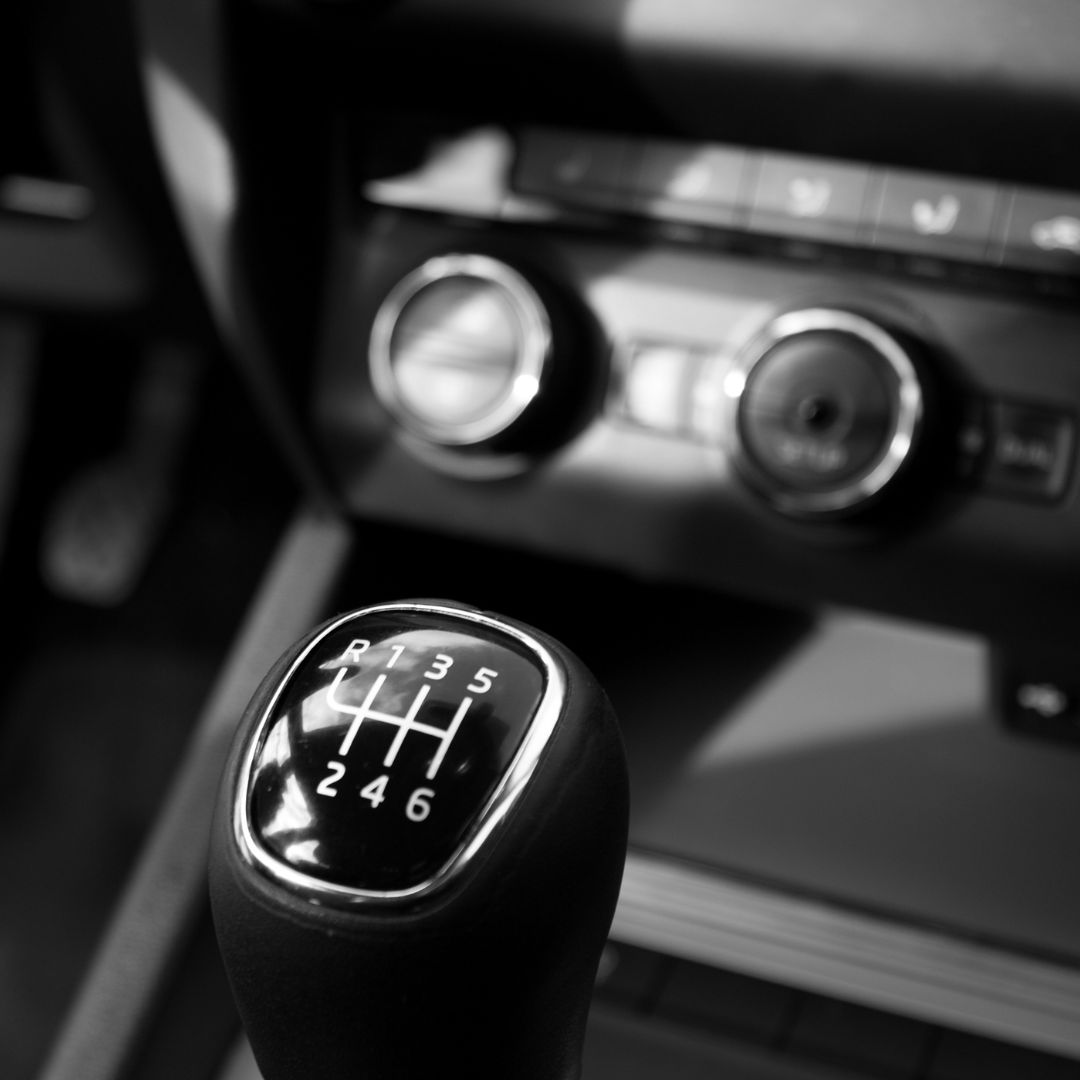vehicle shifter knob